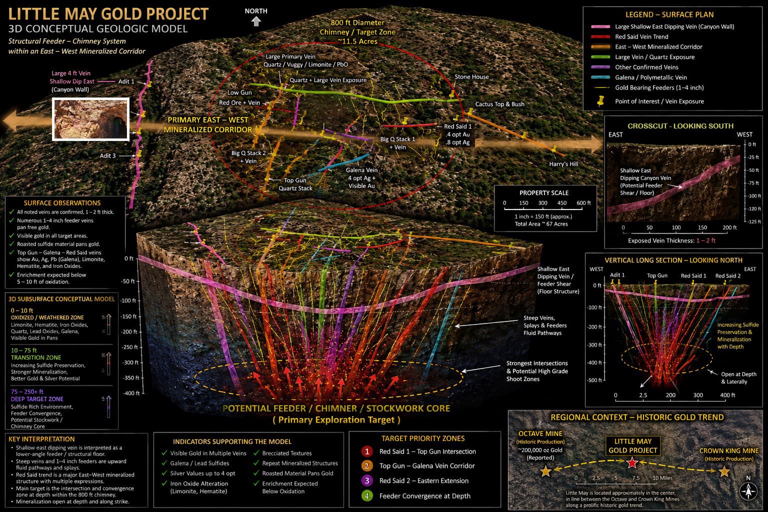 3D Conceptual Geologic Model - Little May Gold